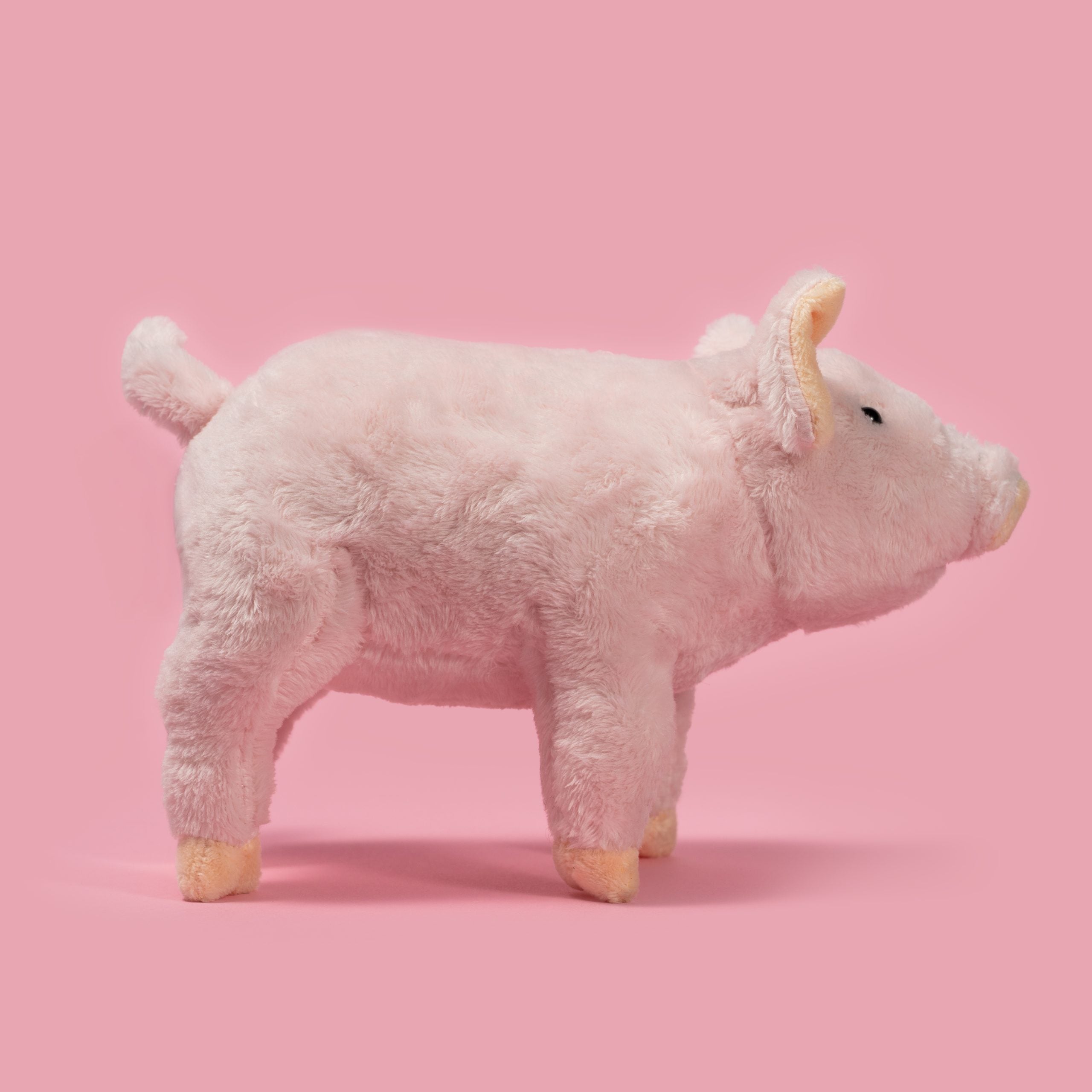 Peluchito cerdito Wild Planet – Todo sobre la naturaleza