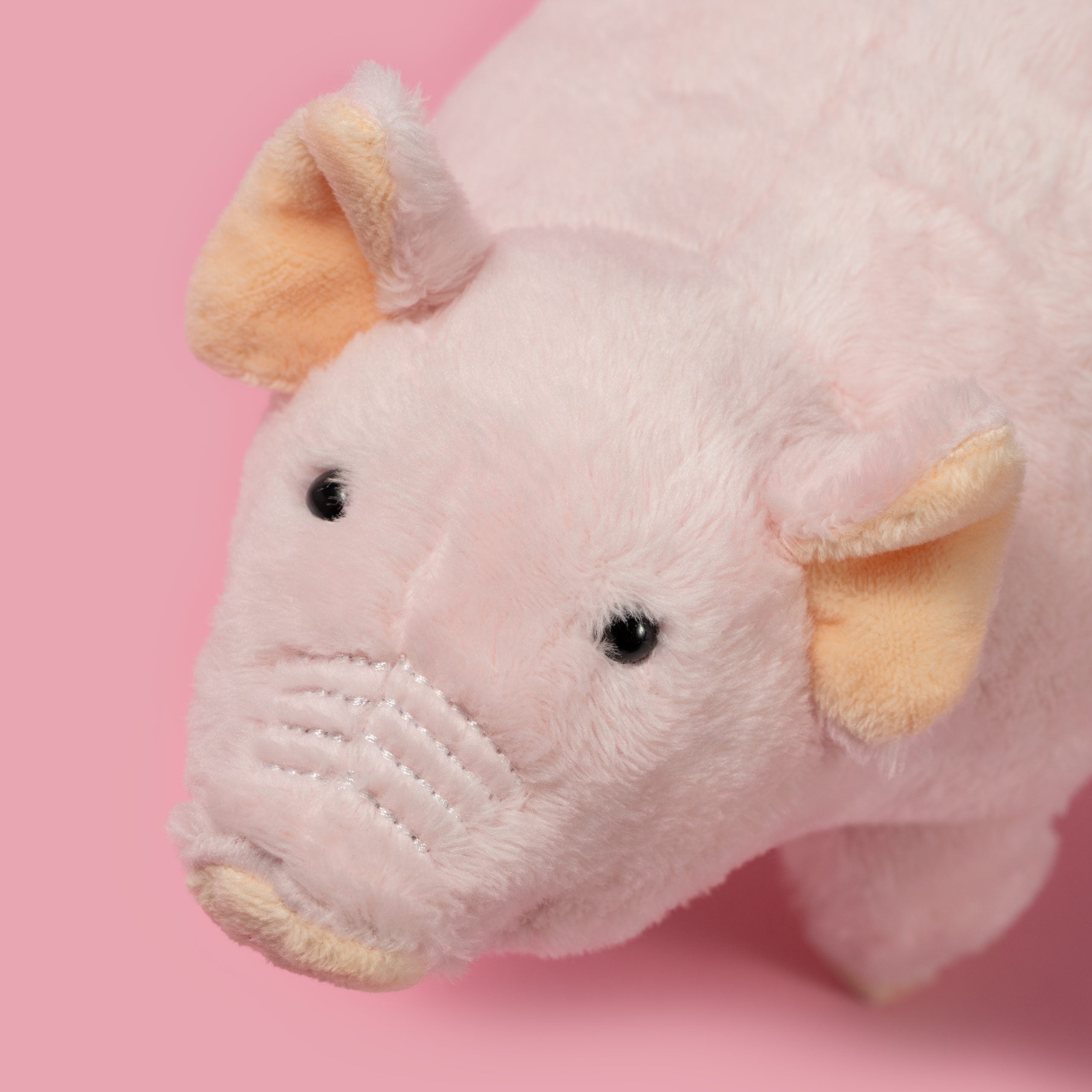 Peluchito cerdito Wild Planet – Todo sobre la naturaleza