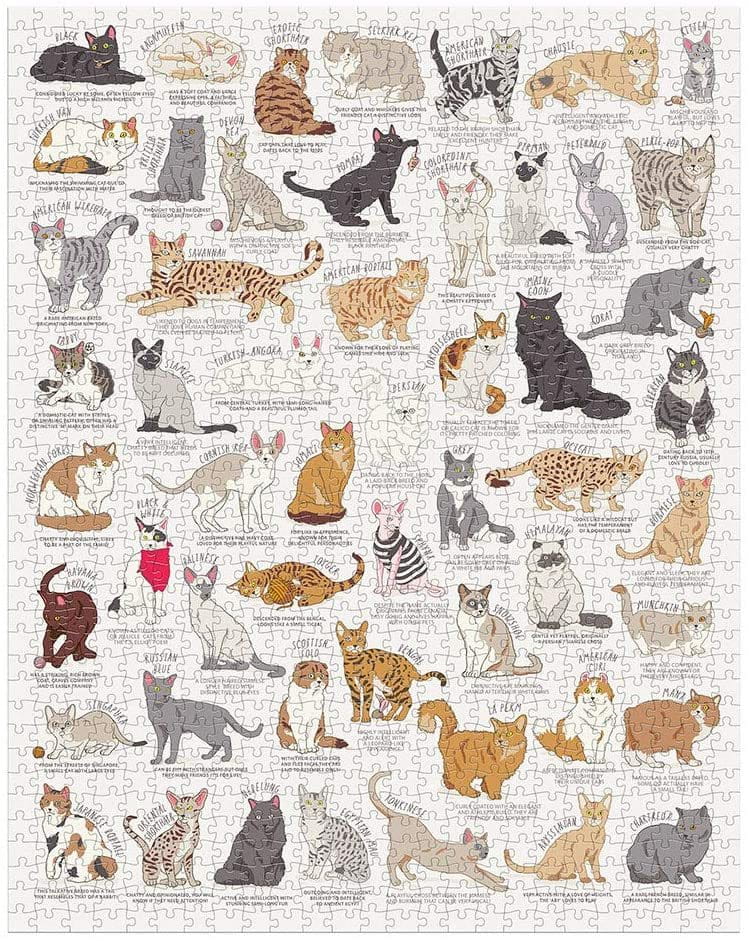 Puzzle koty 1000 elementów z ilustracjami różnych ras i pozycji kotów od Galison