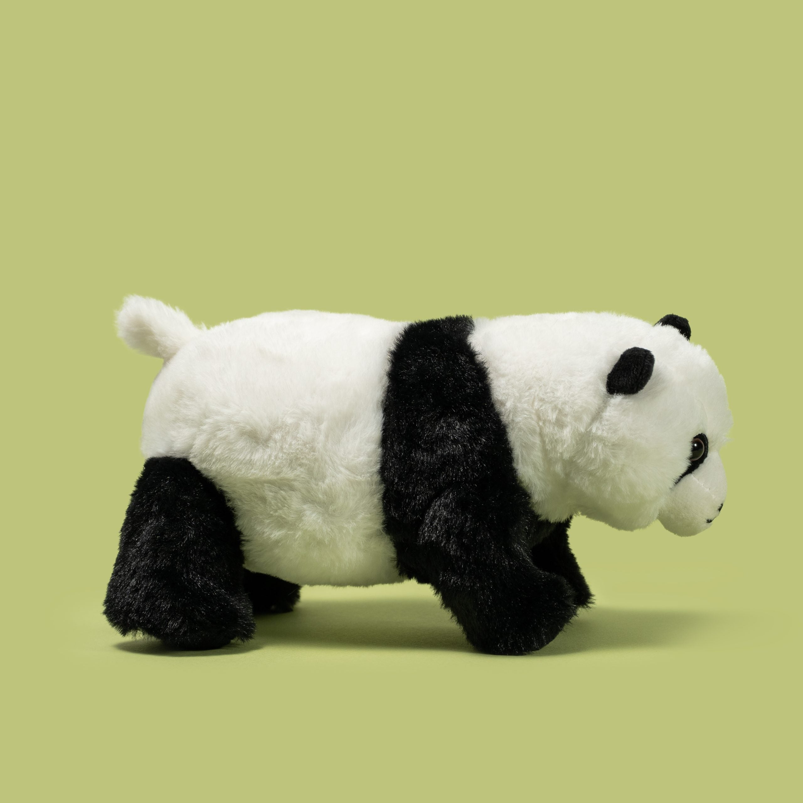Pluszak panda Wild Planet – All About Nature Green