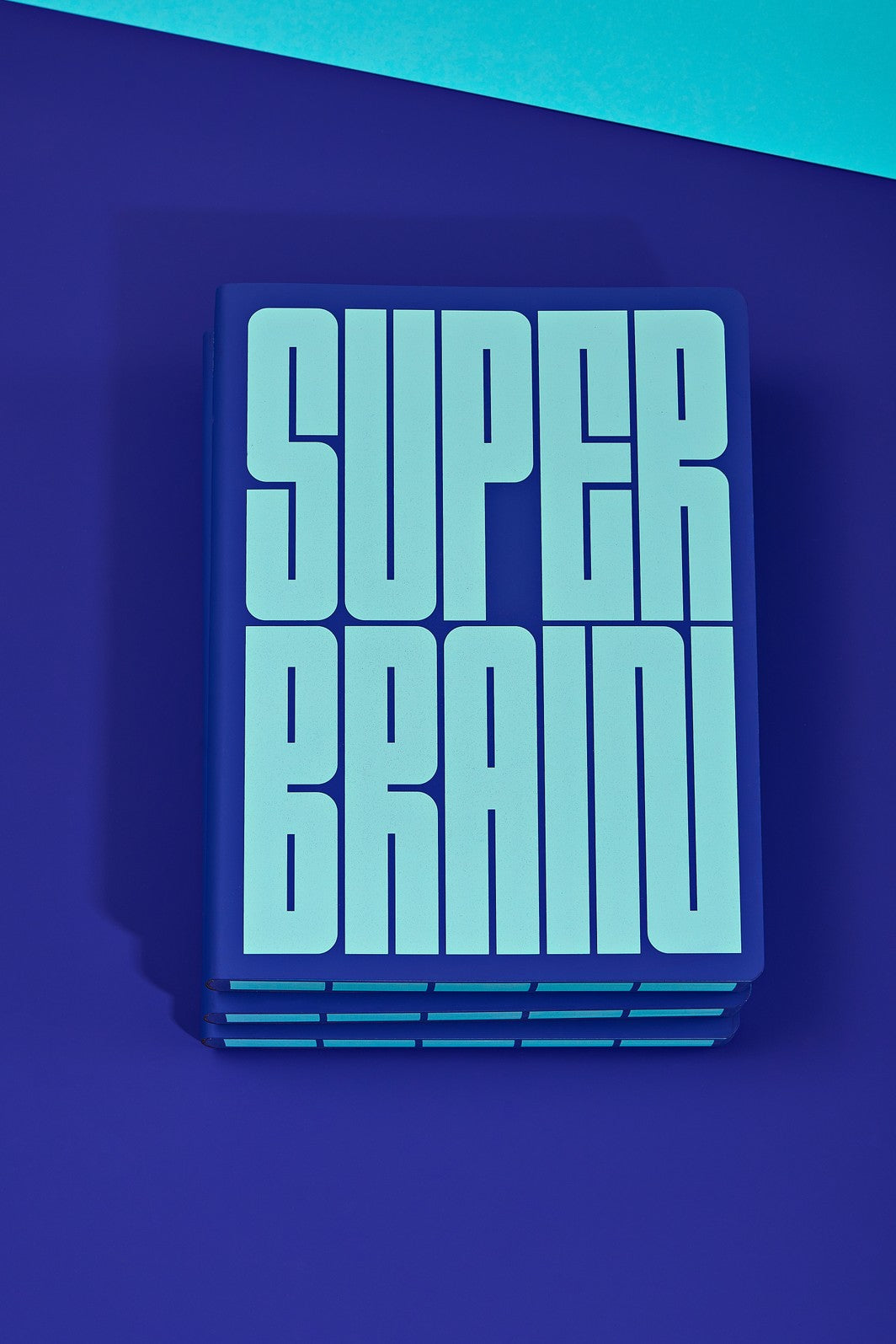 nuuna Graphic L Notebook – Super Brain