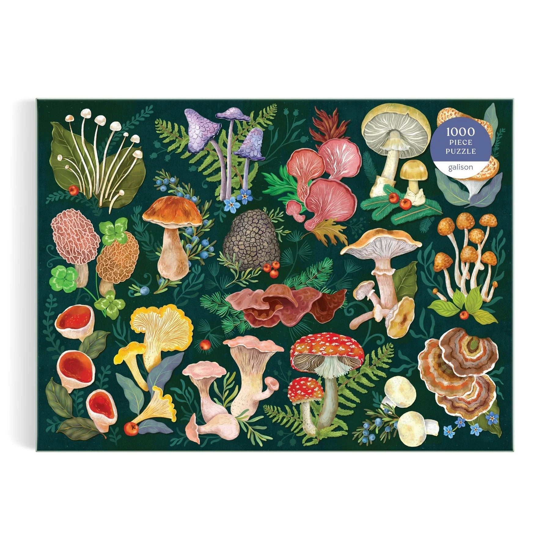 Puzzle Galison – World of Mushrooms (1000 piezas)