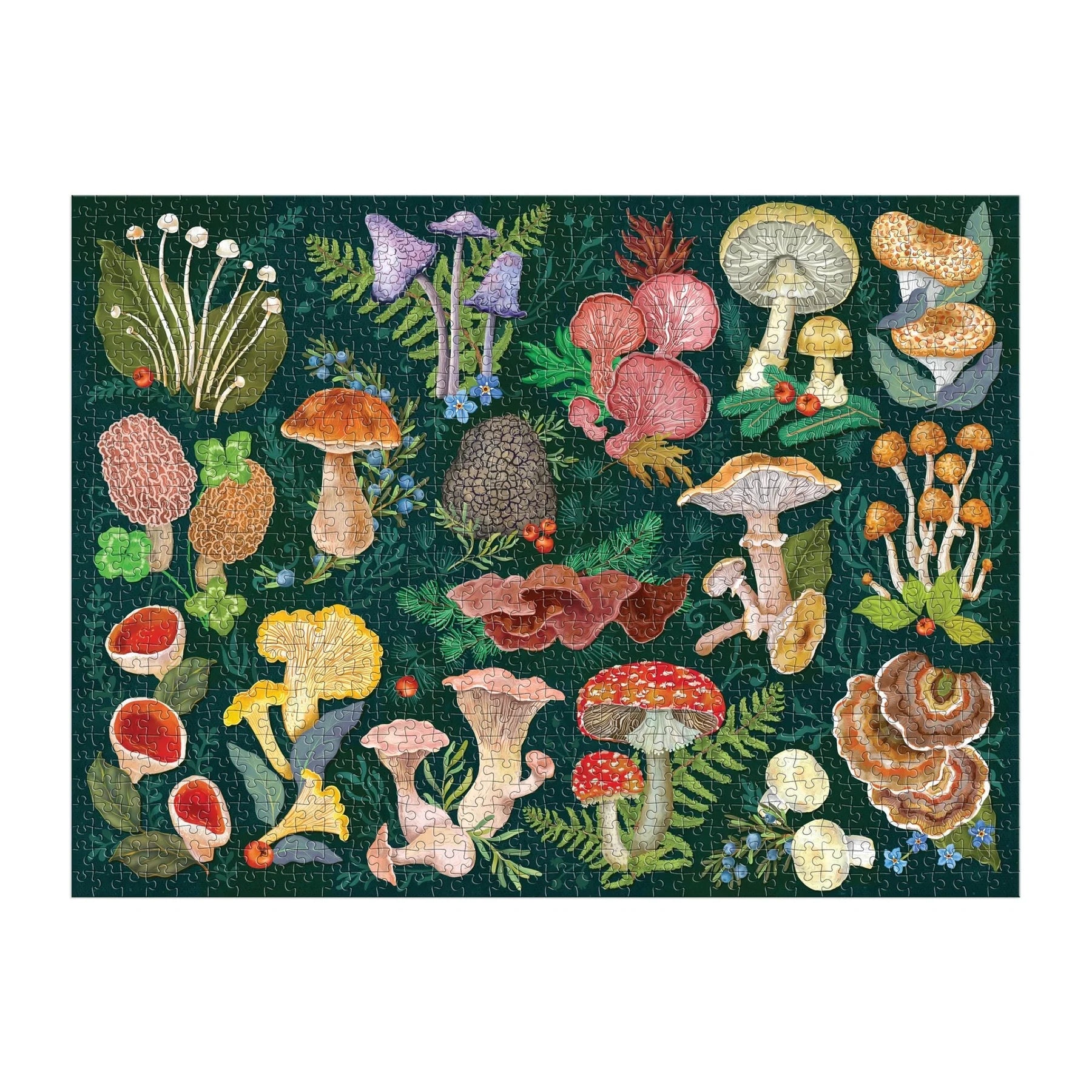 Puzzle Galison – World of Mushrooms (1000 piezas)