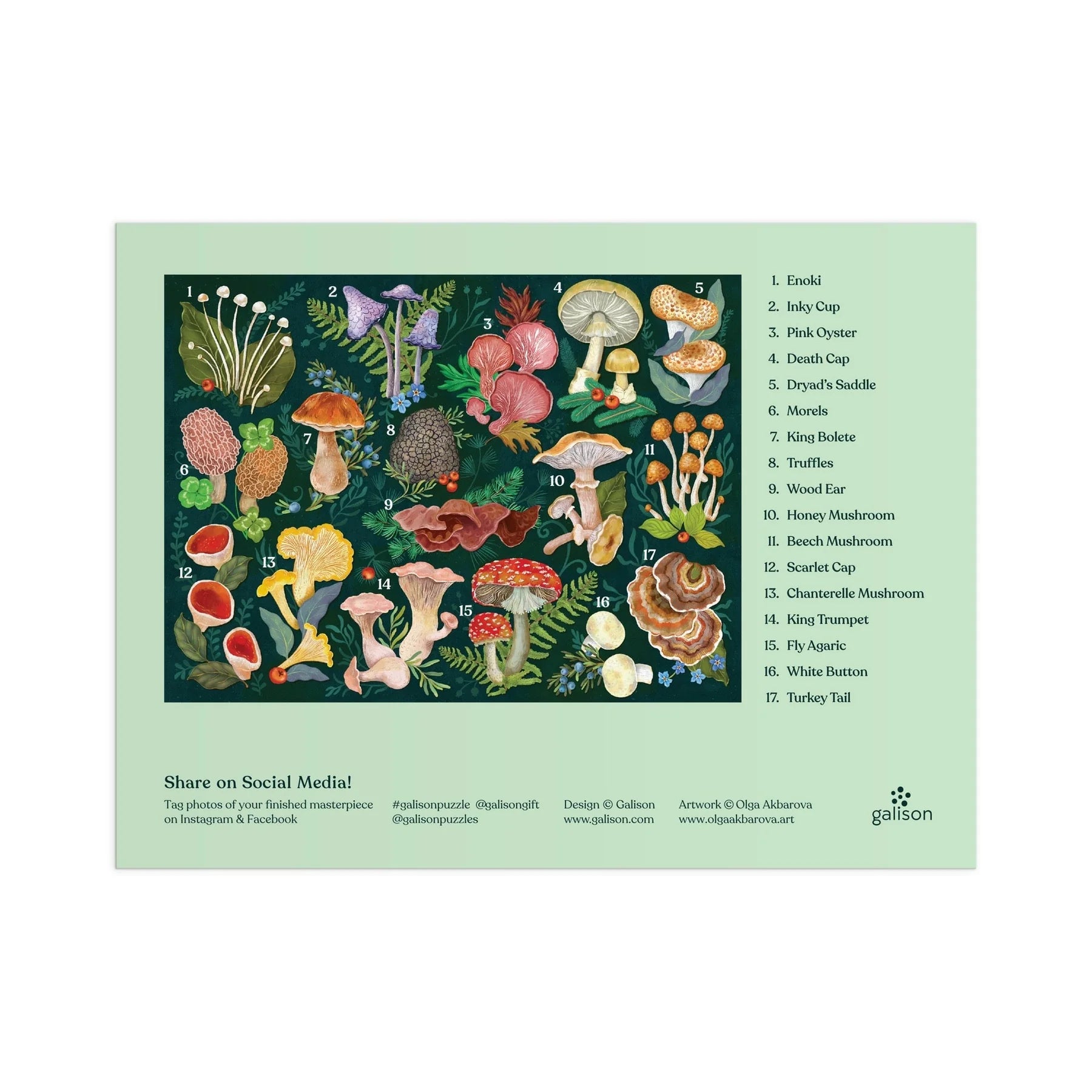 Puzzle Galison – World of Mushrooms (1000 piezas)