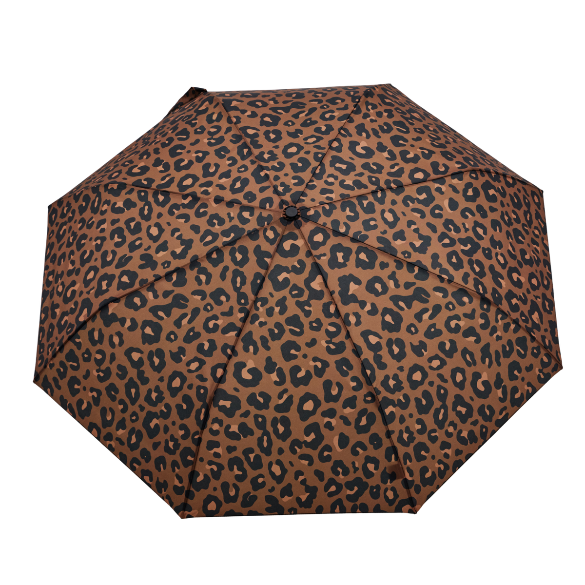 Original Duckhead Duck Umbrella – Leopard