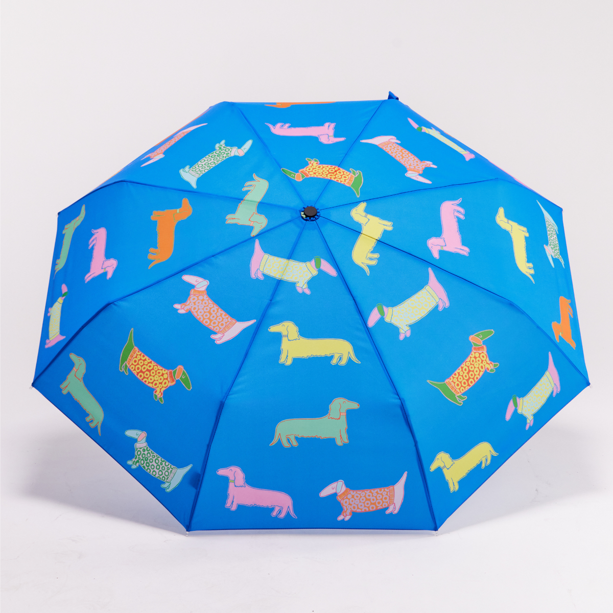 Original Duckhead umbrella – Blue Dogs