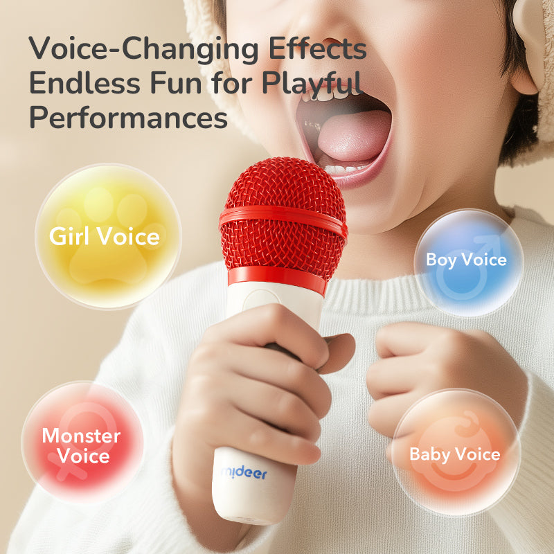 Podwójny zestaw karaoke mideer