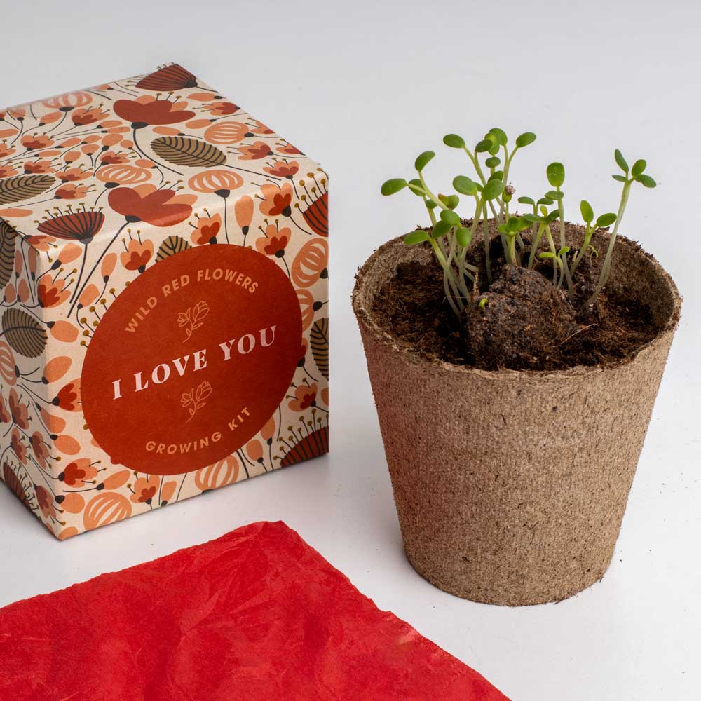 Zestaw Say it with Flowers Resetea – I love you