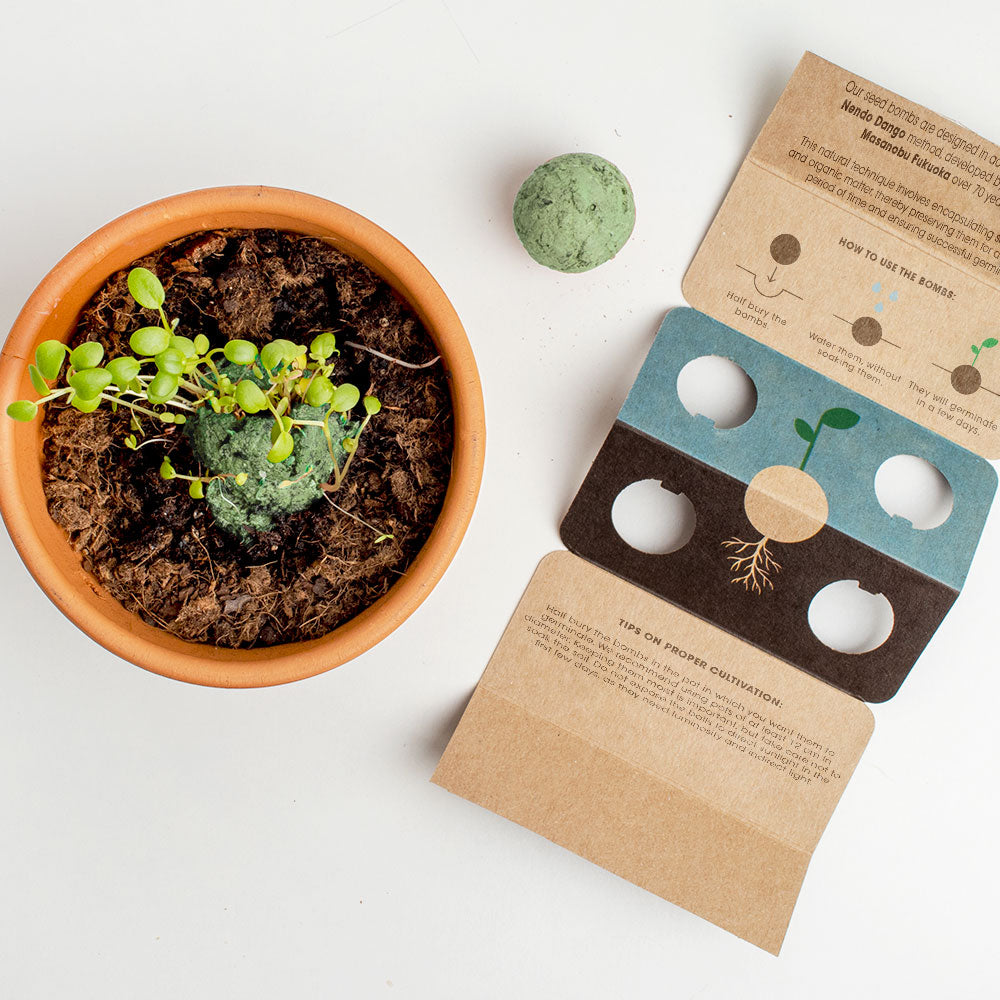 Biodiversity Bombs Resetea– Mediterranean Garden