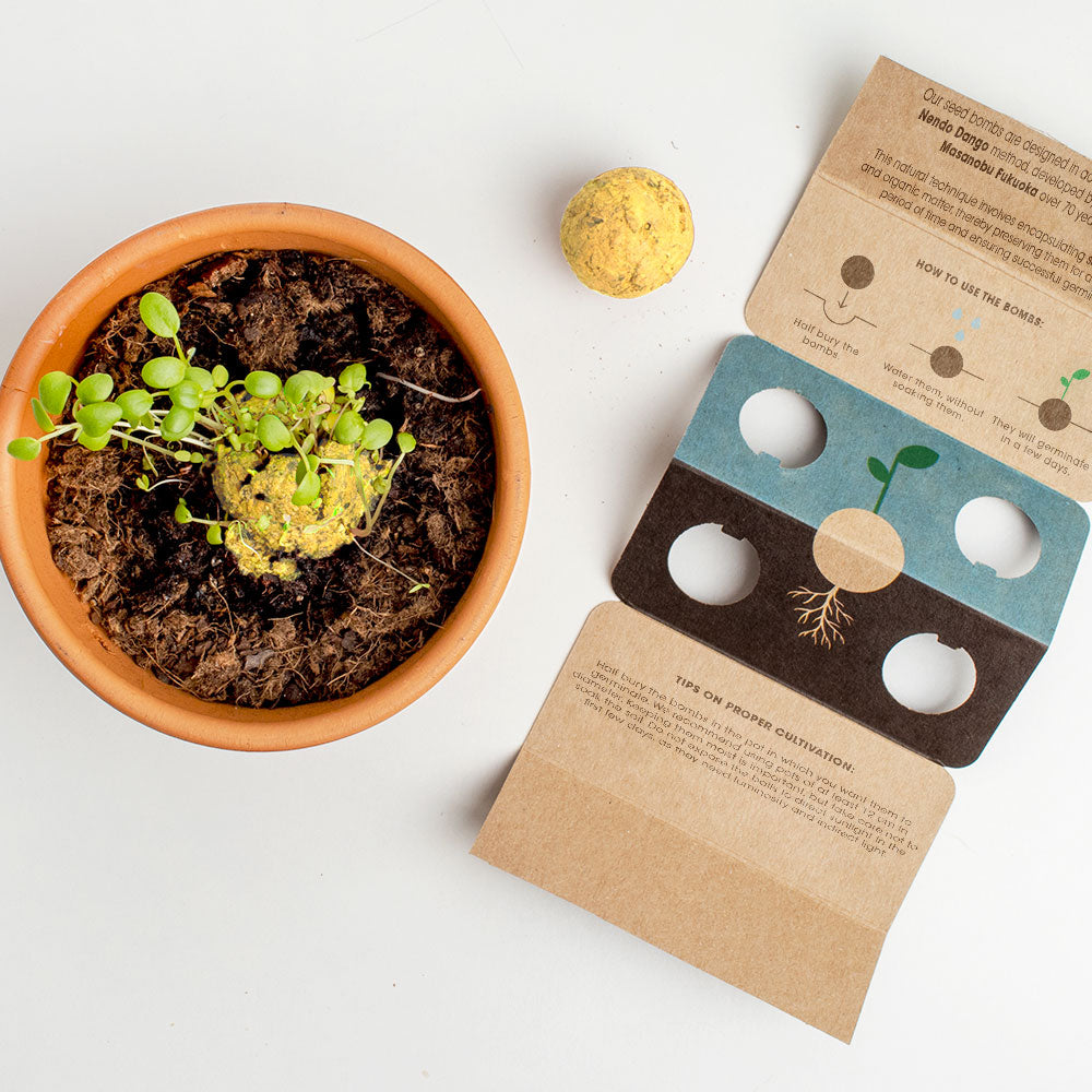 Biodiversity Bombs Resetea– Let’s Save the Bees