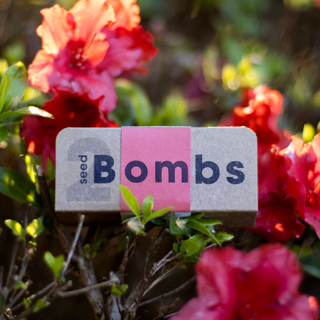 Biodiversity Bombs Resetea– Wild Red Flowers