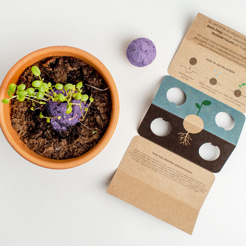 Biodiversity Bombs Resetea– Wild Purple Flowers