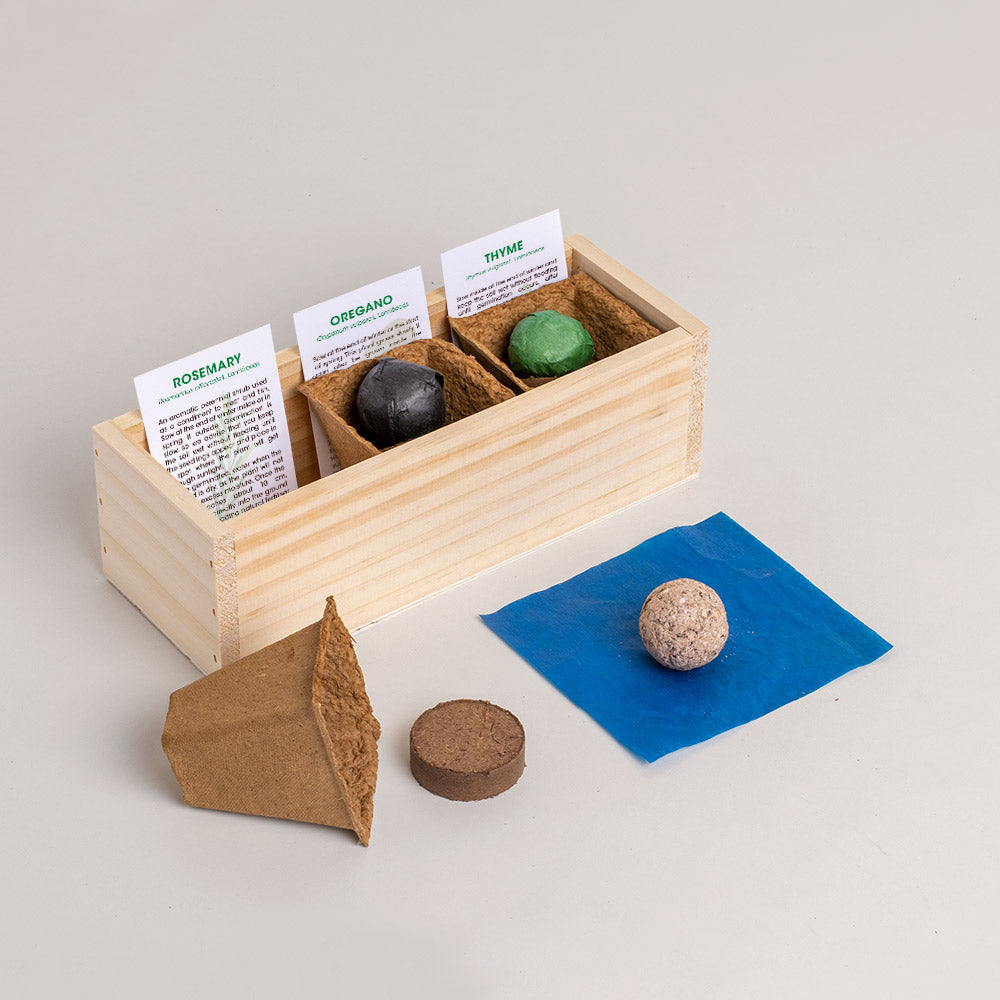 Mini ogród Resetea – Mediterranean