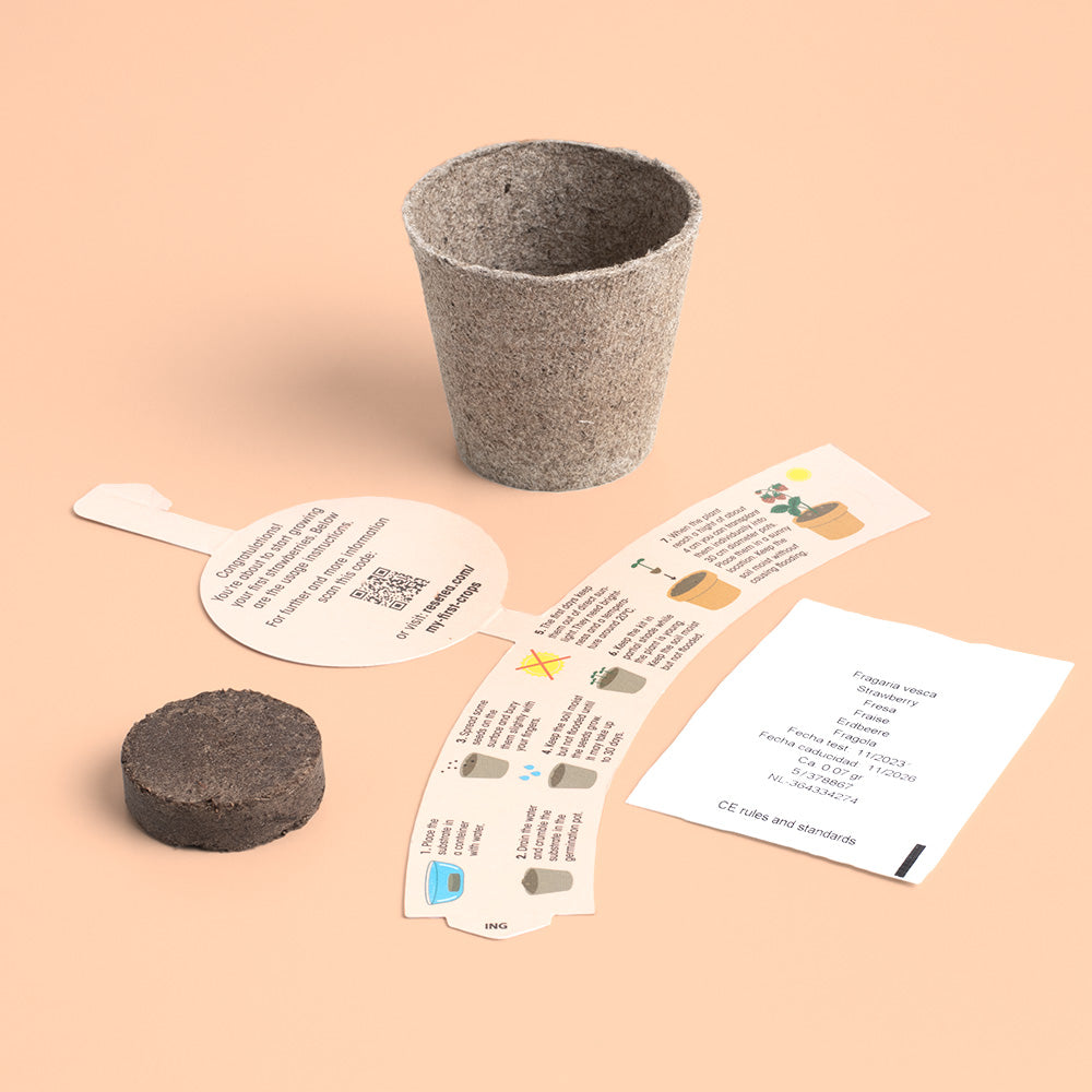 My First Crops Resetea – Truskawka