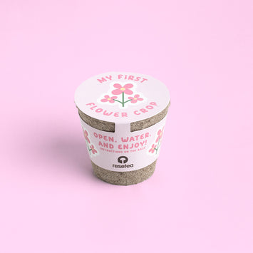 My First Crops Resetea – Flowers