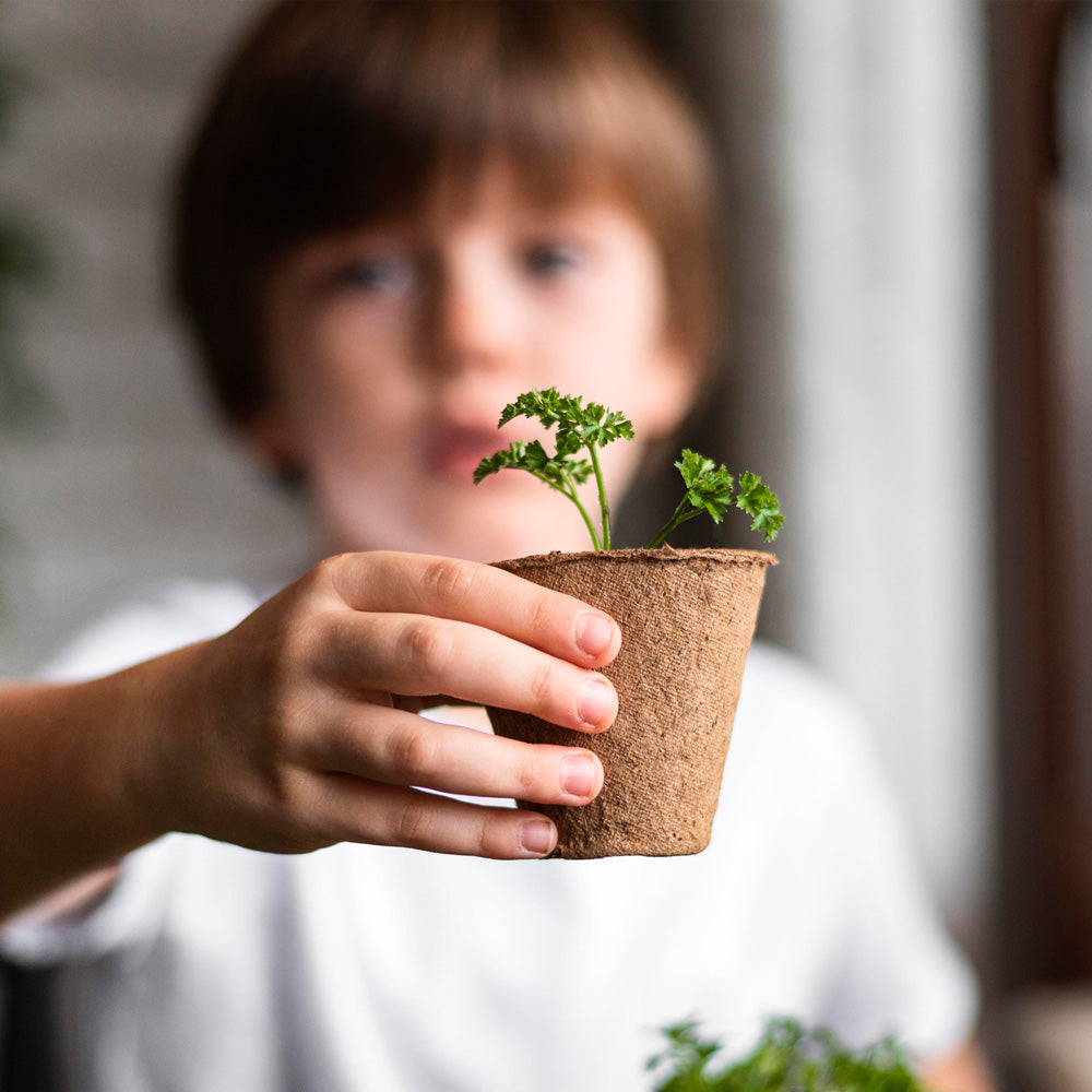 My First Crops Resetea – Flowers
