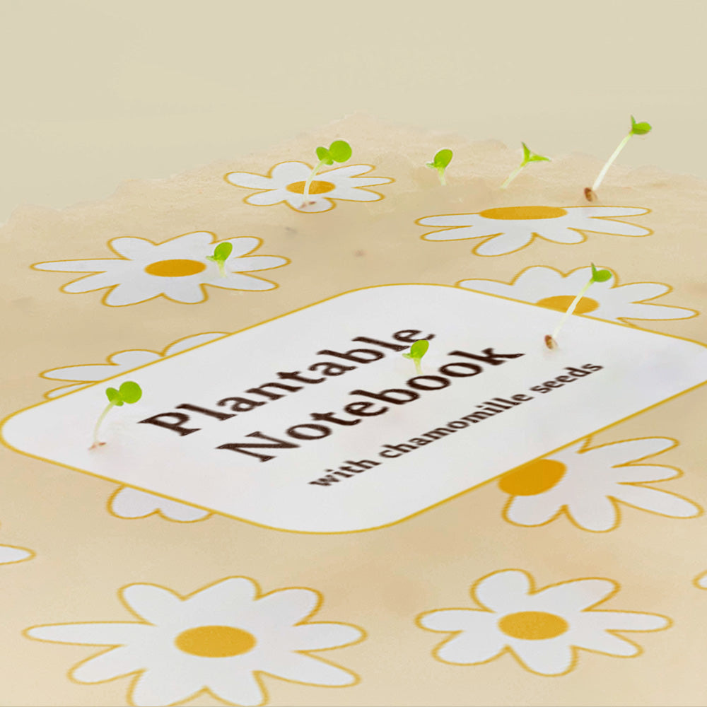 Notes do zasadzenia Resetea – rumianek