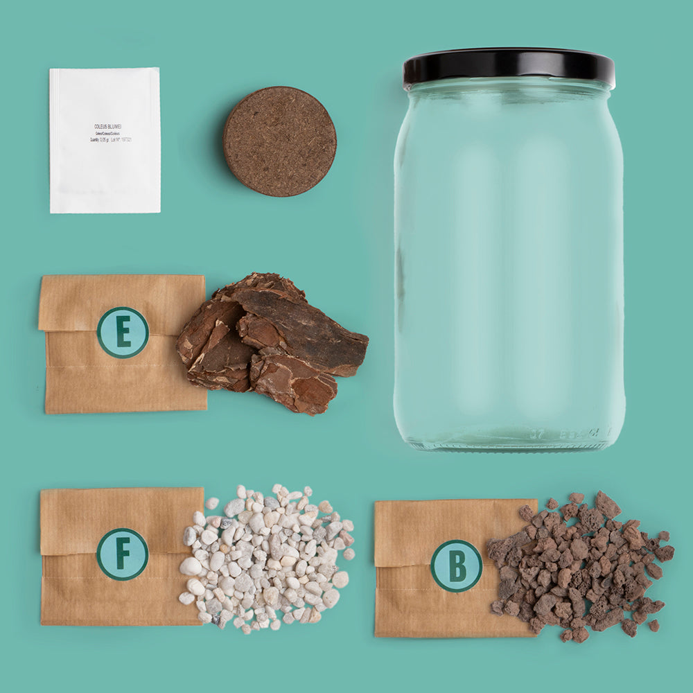 Terrarium w słoiku Resetea