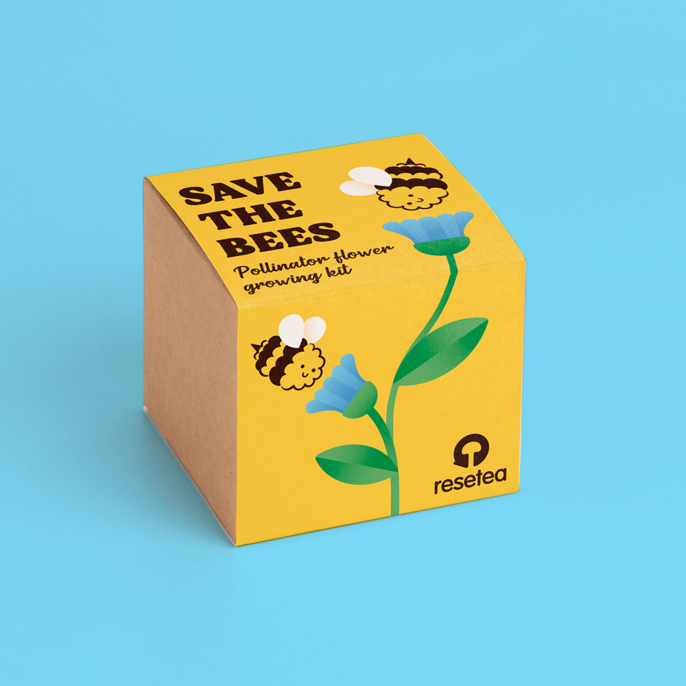 Display Save the Bees (12 piezas) Resetea