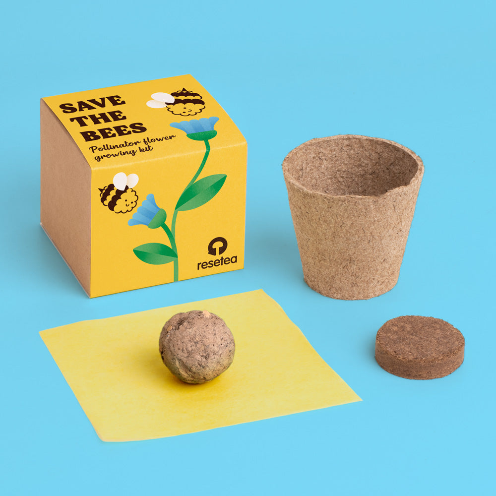 Display Save the Bees (12 piezas) Resetea