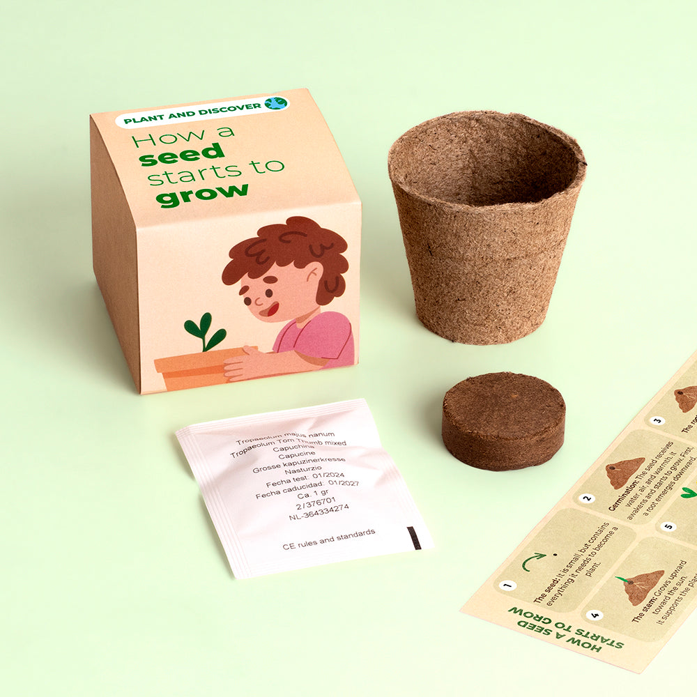 Display Plant and Discover Resetea – Jak kiełkuje nasiono
