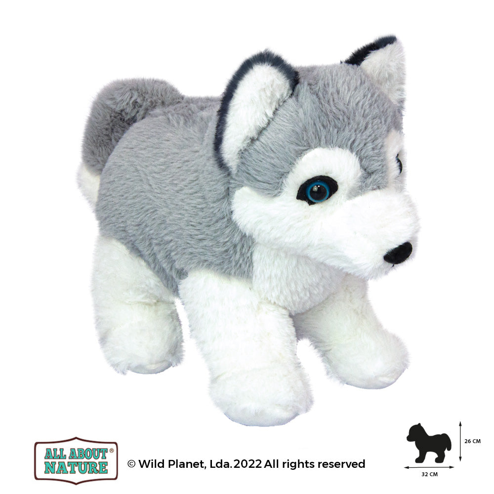 Pluszak husky dla dzieci od Wild Planet miękki pluszowy piesek w szaro-białych kolorach