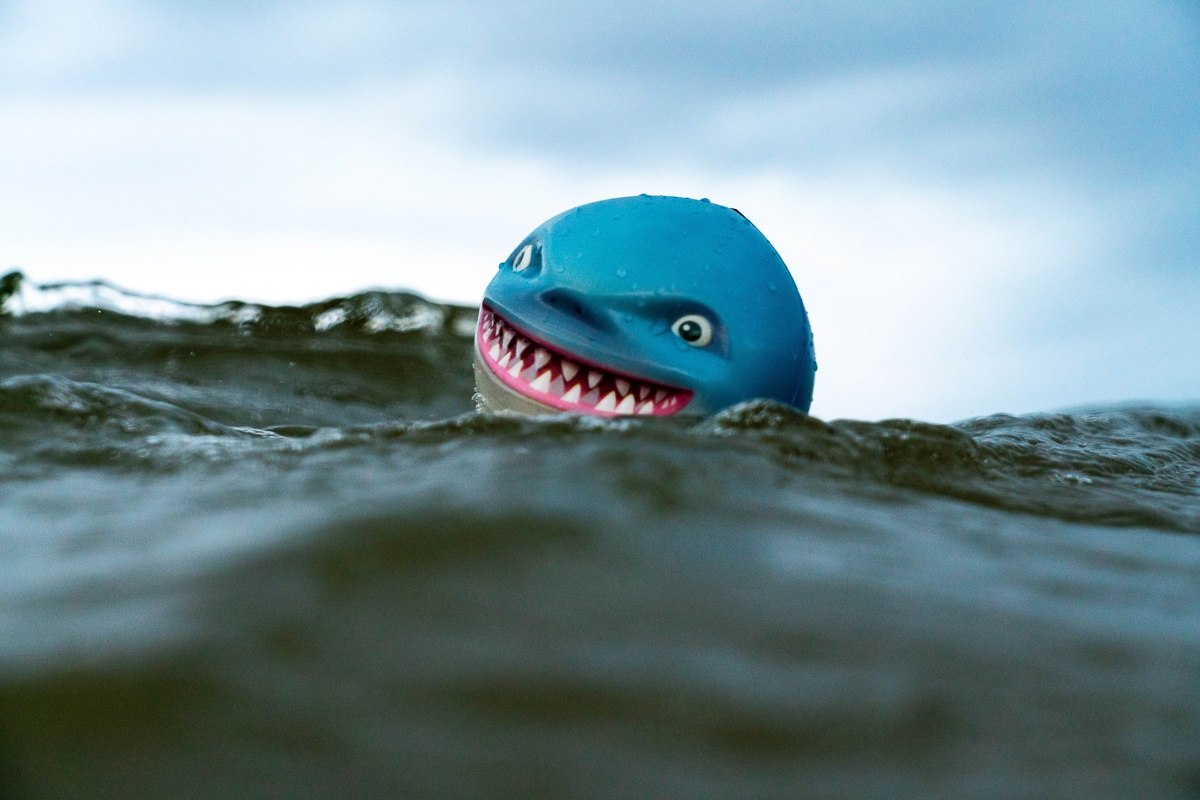 Niebieska piłeczka Waboba Sharky Shark w kształcie rekina pływająca na wodzie