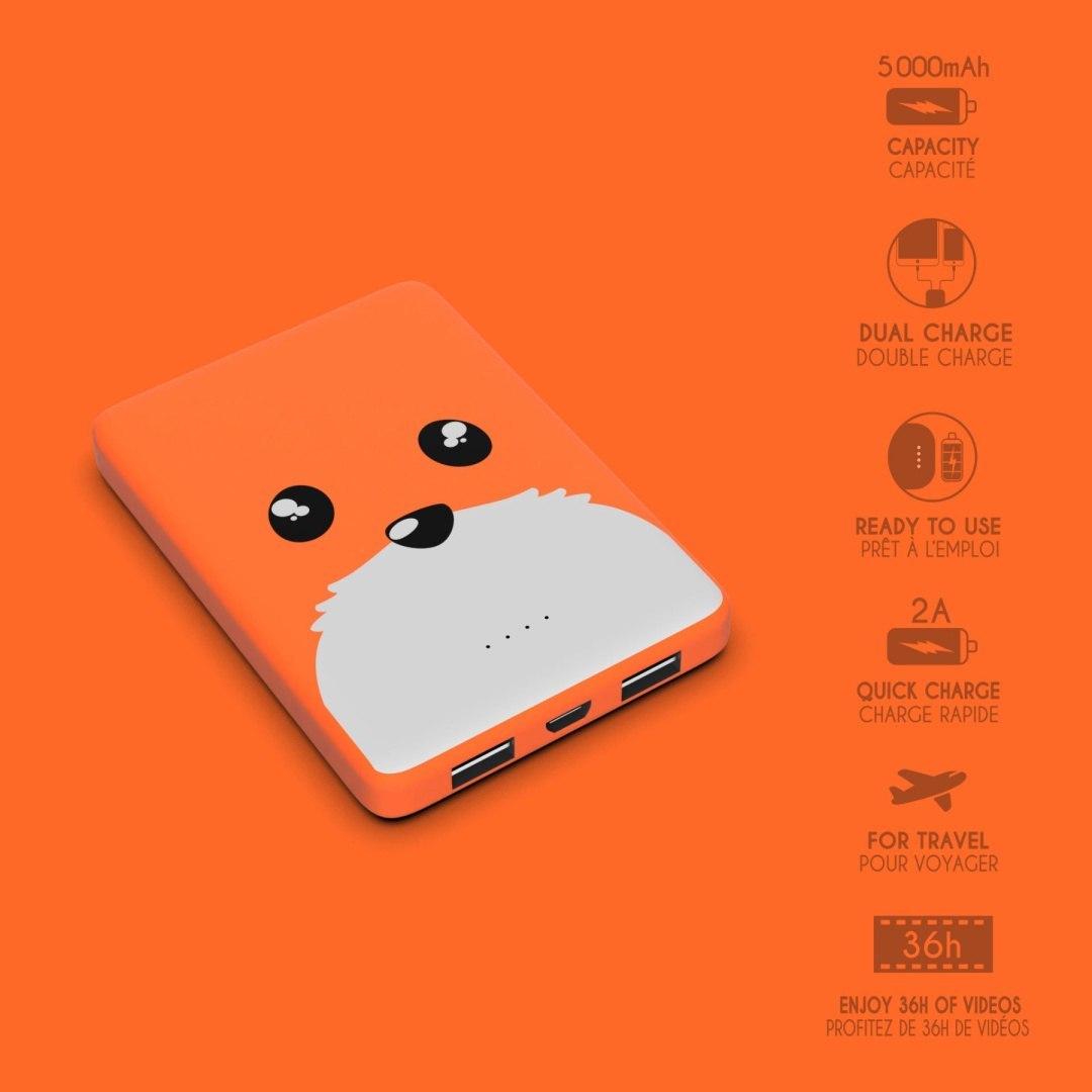 Pomarańczowy powerbank lis 5000 mAh z uroczym wzorem lisa i dwoma portami USB