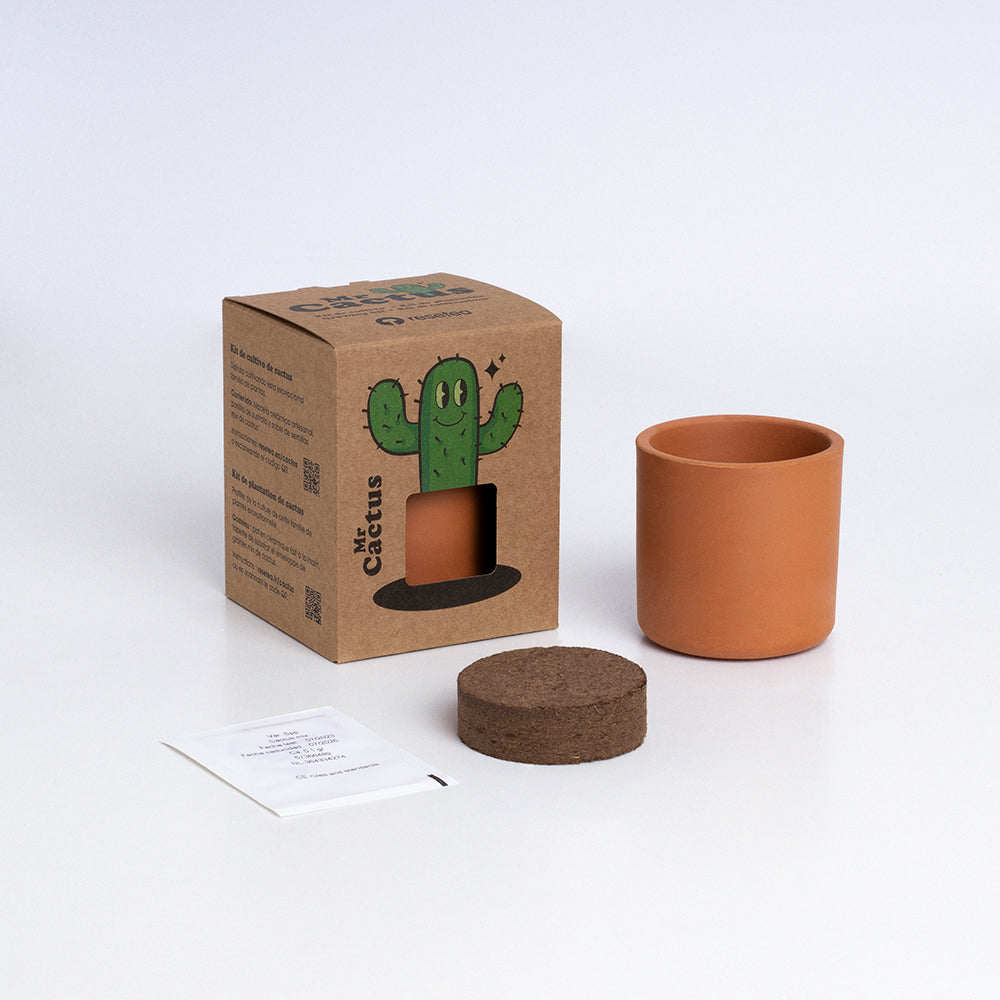 Roślinka Mr Cactus Resetea