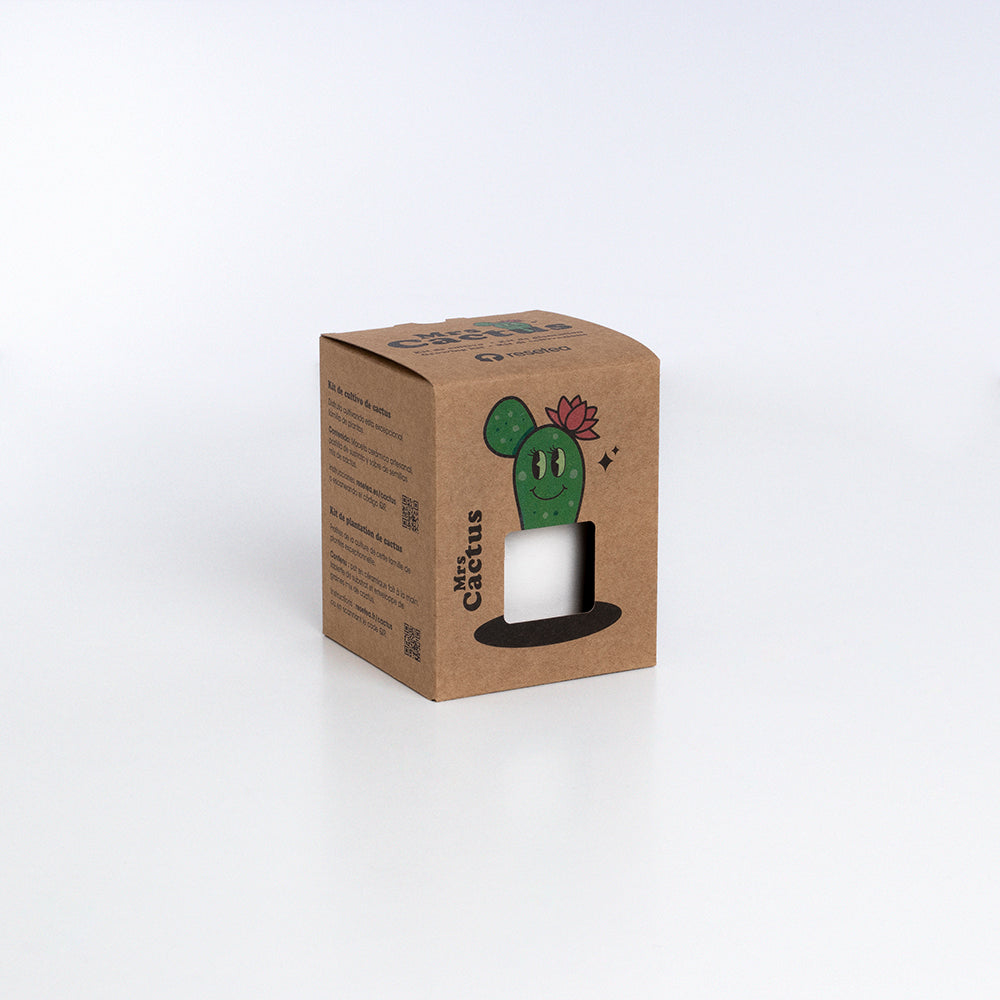 Roślinka Mrs Cactus Resetea