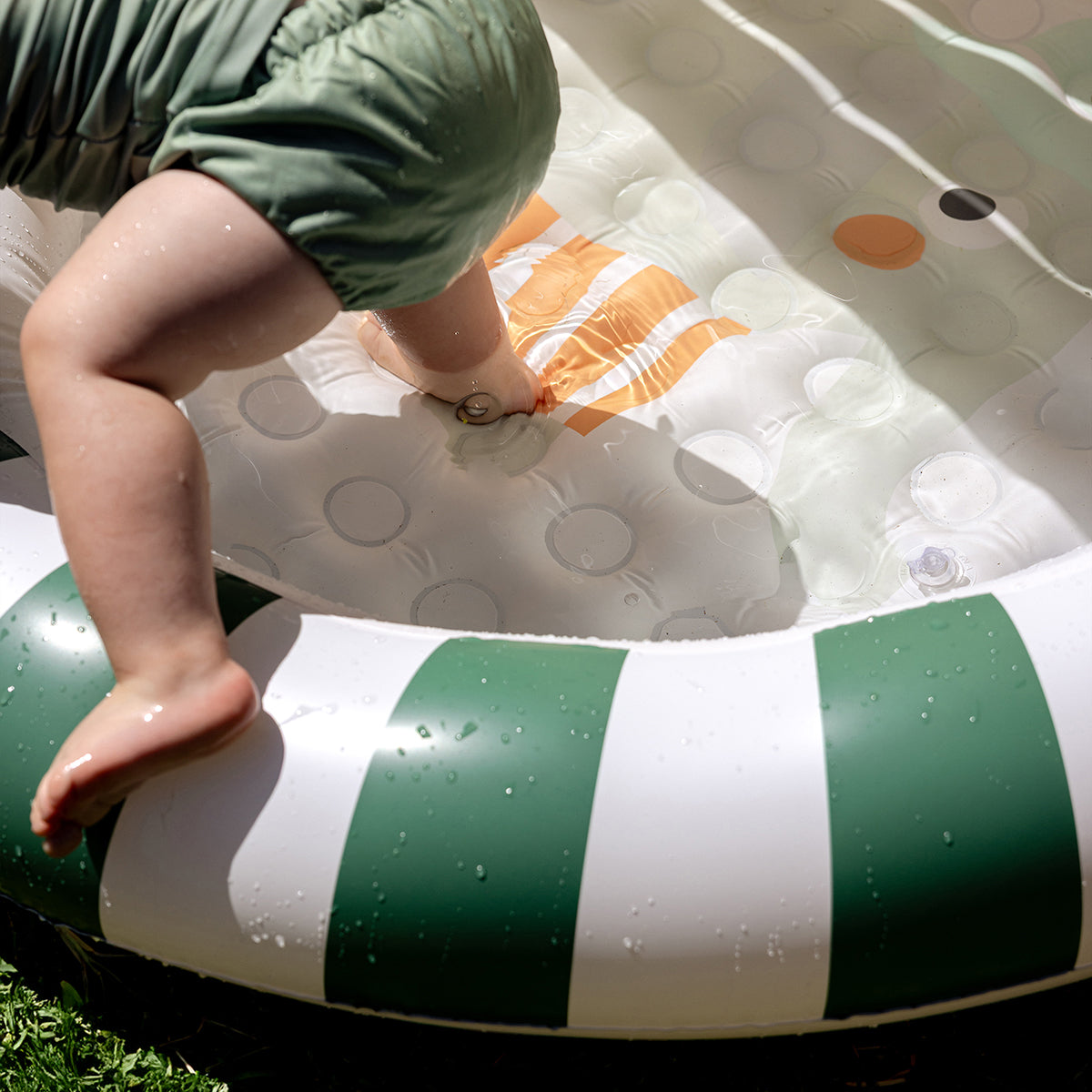 Pool with canopy – Eli the Elephant
