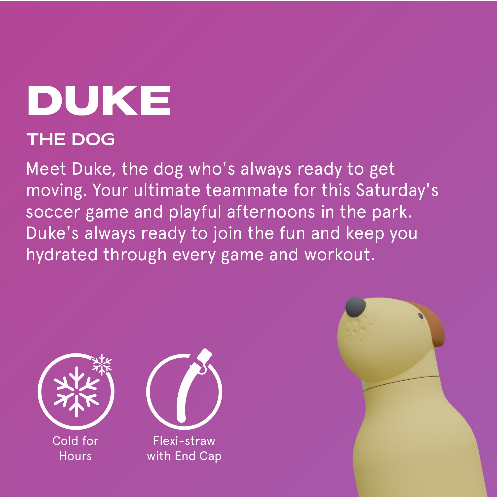 Butelka termiczna ze słomką Bestie Asobu – Pies 460 ml