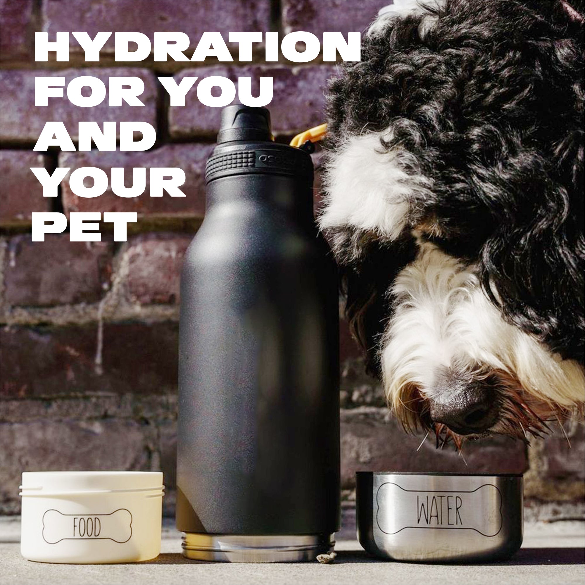 Butelka z miskami dla psa Buddy Asobu – pastel peach 1 l