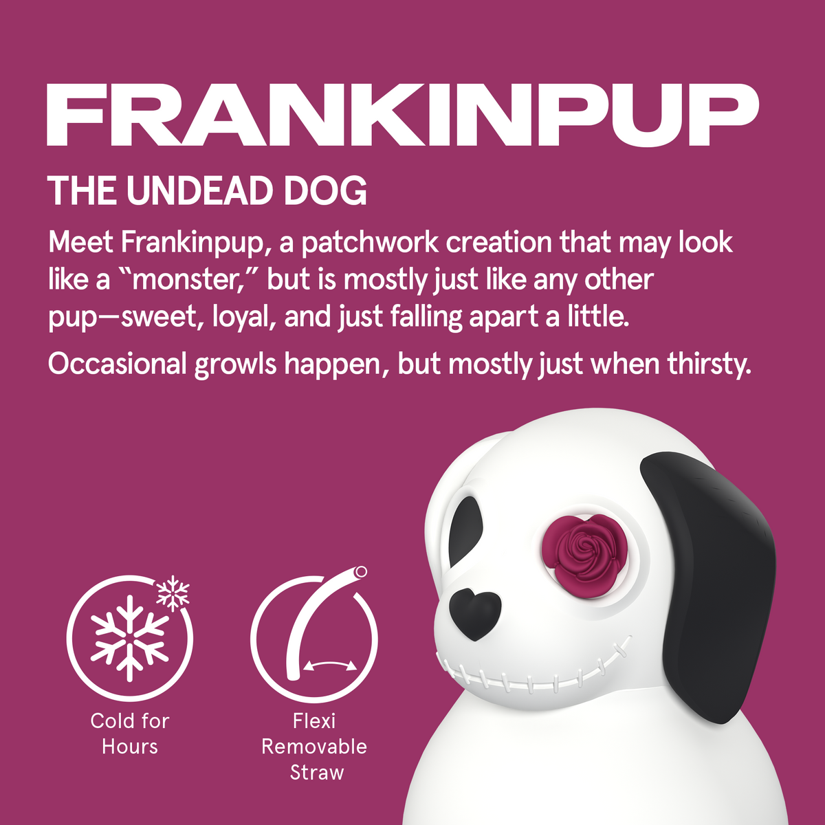 Thermal bottle with straw Maxi Spookie Asobu – Undead Dog 660 ml