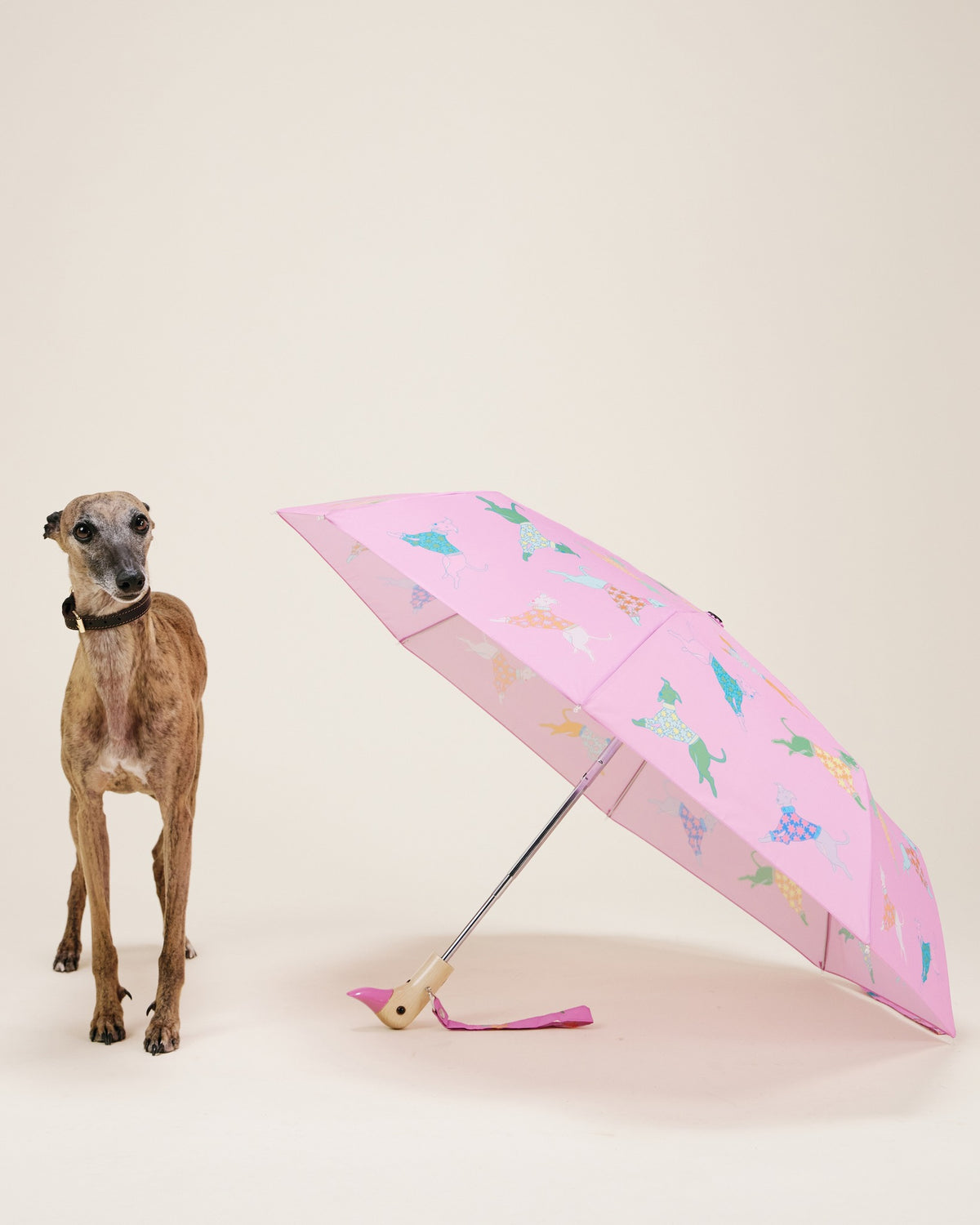 Duck umbrella Original Duckhead – Pink dogs