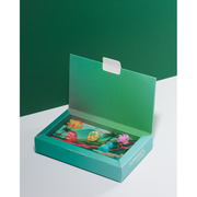 Summies Przypinki - Dinozaury