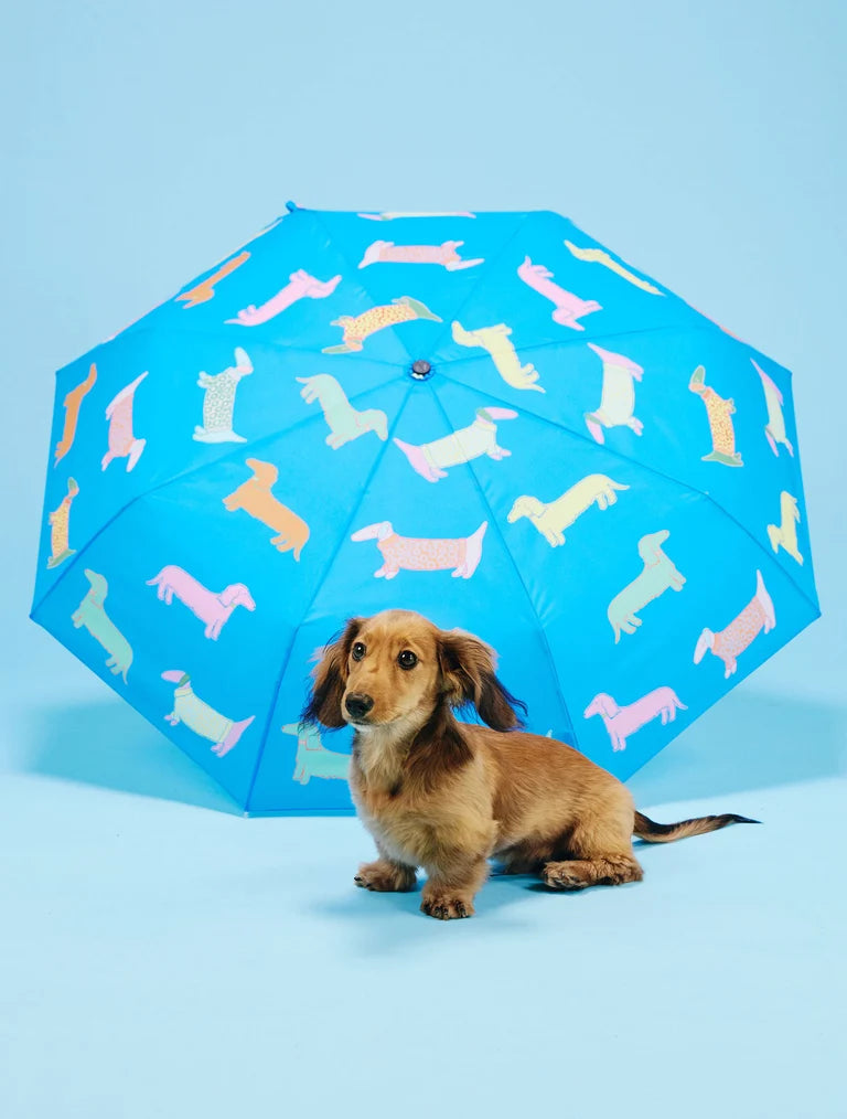 Original Duckhead umbrella – Blue Dogs