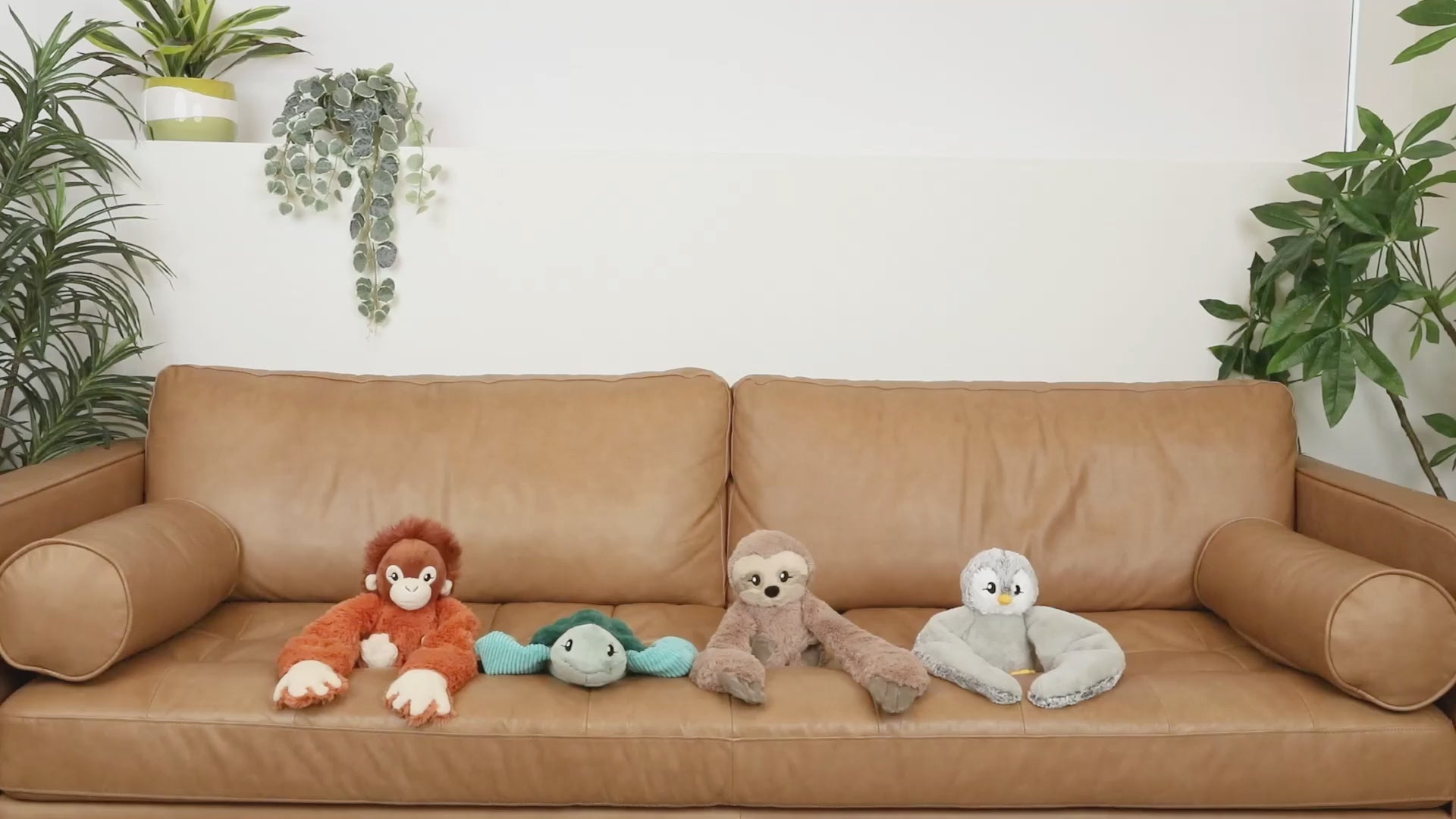 Video laden: 